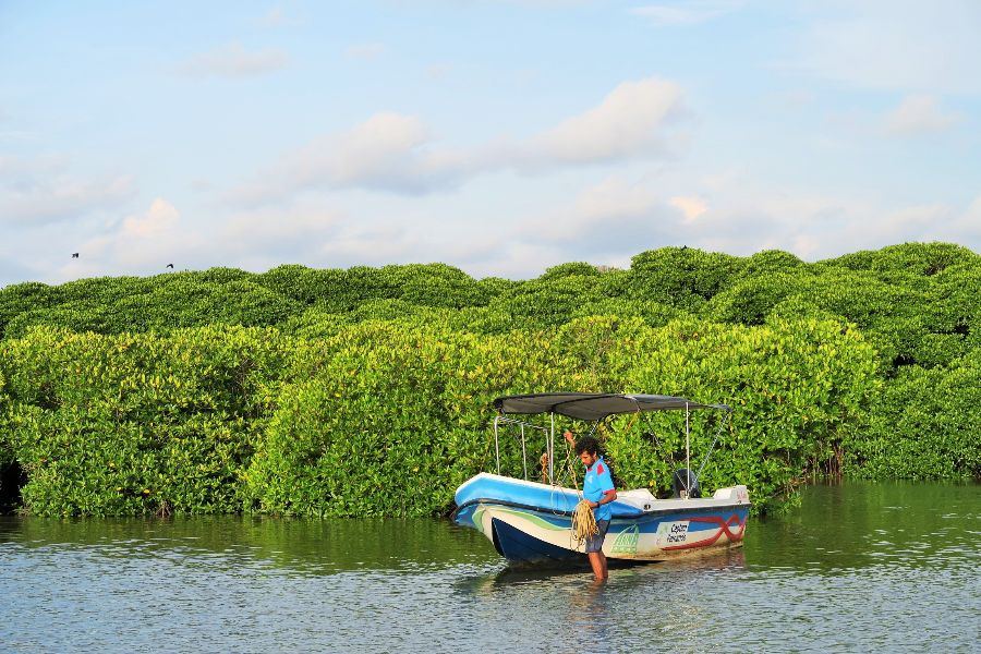 8. 2-hour motorboat tour.JPG